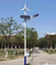 Renewable Energy Lighting with High-Efficiency LED Light and Wind Turbine