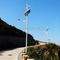 Green Energy Street Lamp with High-Efficiency LED Light Features
