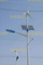 Advanced LED Light and Wind Turbine Generator for Smart City Use