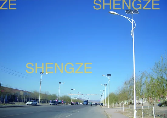 Modern LED Street Light with Solar Panel and Motion Detection